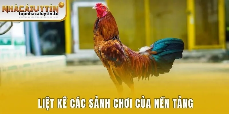Liệt kê các sảnh chơi của nền tảng