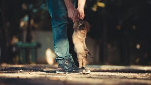 Aeroporto Internazionale di Filadelfia